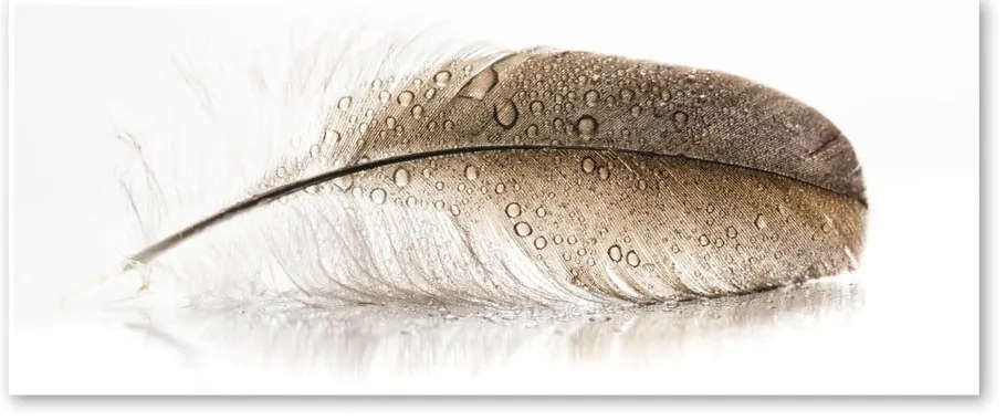 Obraz Styler Glasspik Wings, 50x125 cm