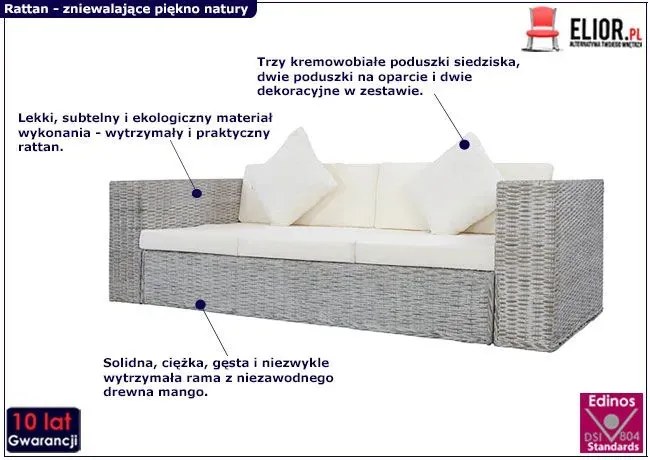 Sofa  trzyosobowa szaraP4-P86