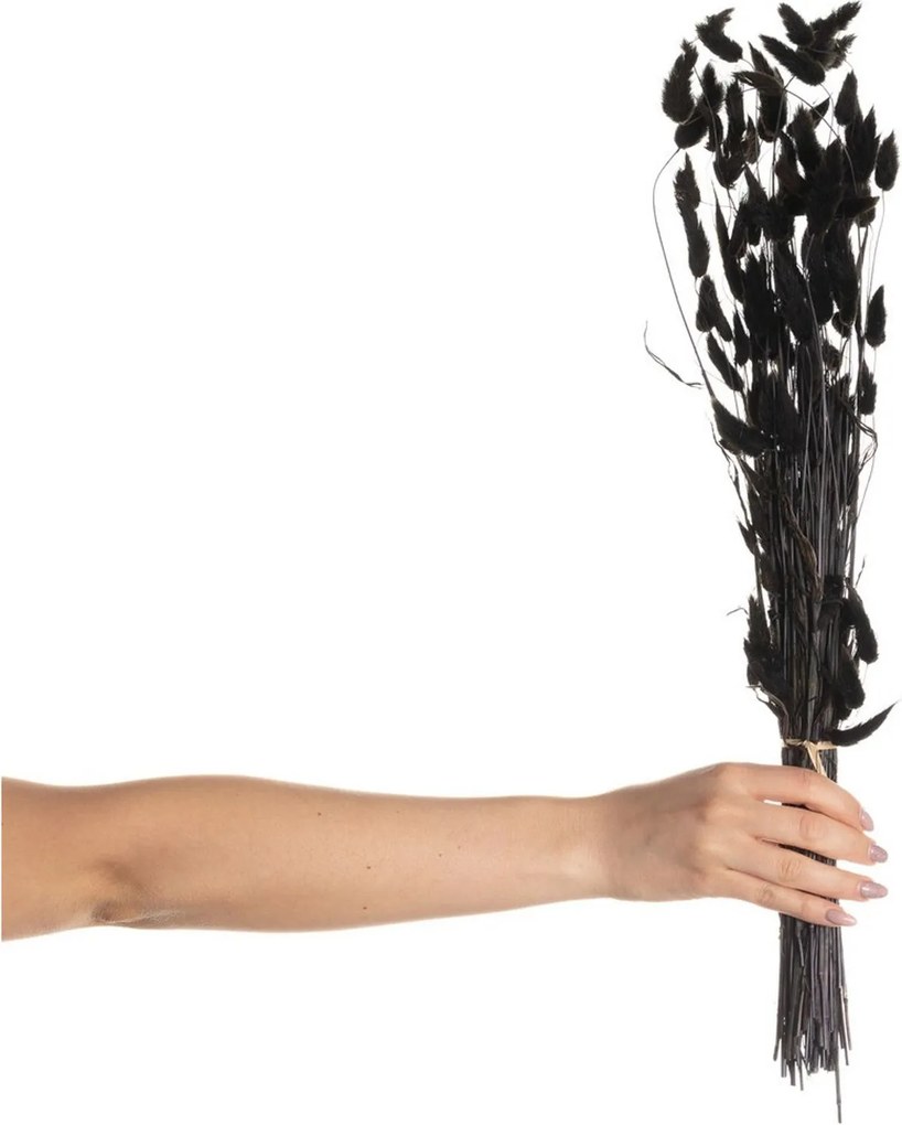 Bukiet Dmuszka 60cm dark brown