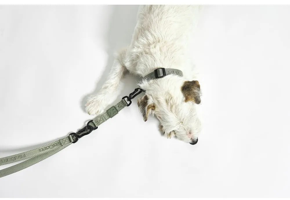 Ciemnoszara obroża w rozmiarze S/M długość 32 cm Modena Asphalt S/SM – MiaCara