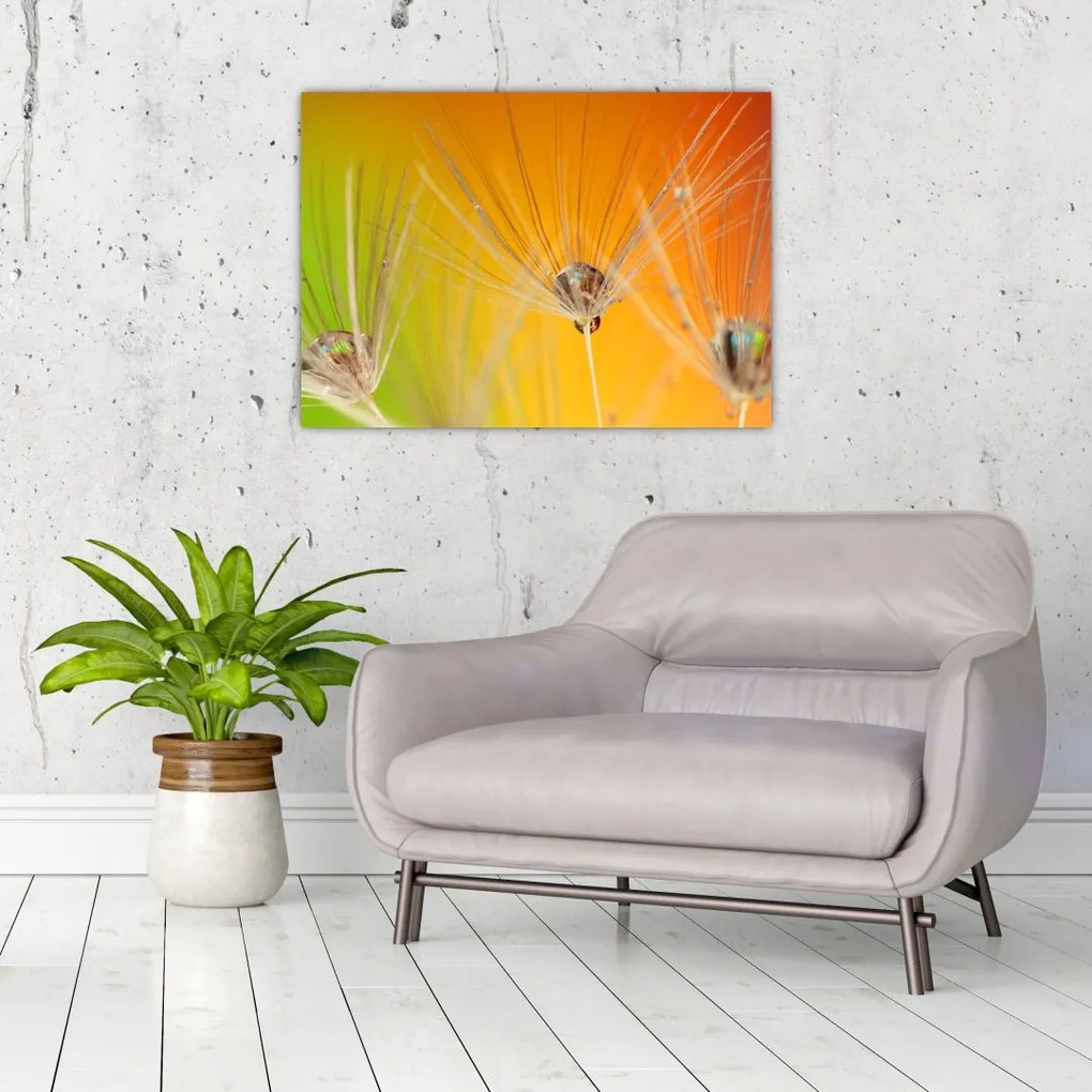 Obraz kropli na roślinie (70x50 cm)