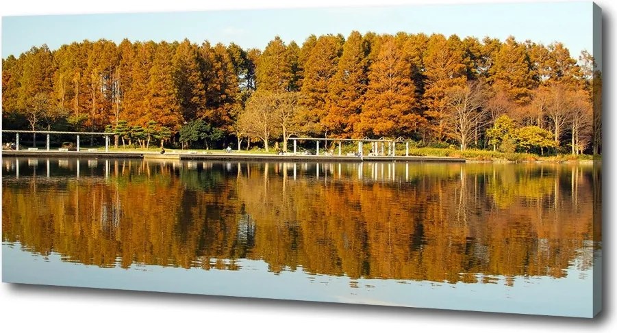 Foto obraz na płótnie Las nad jeziorem