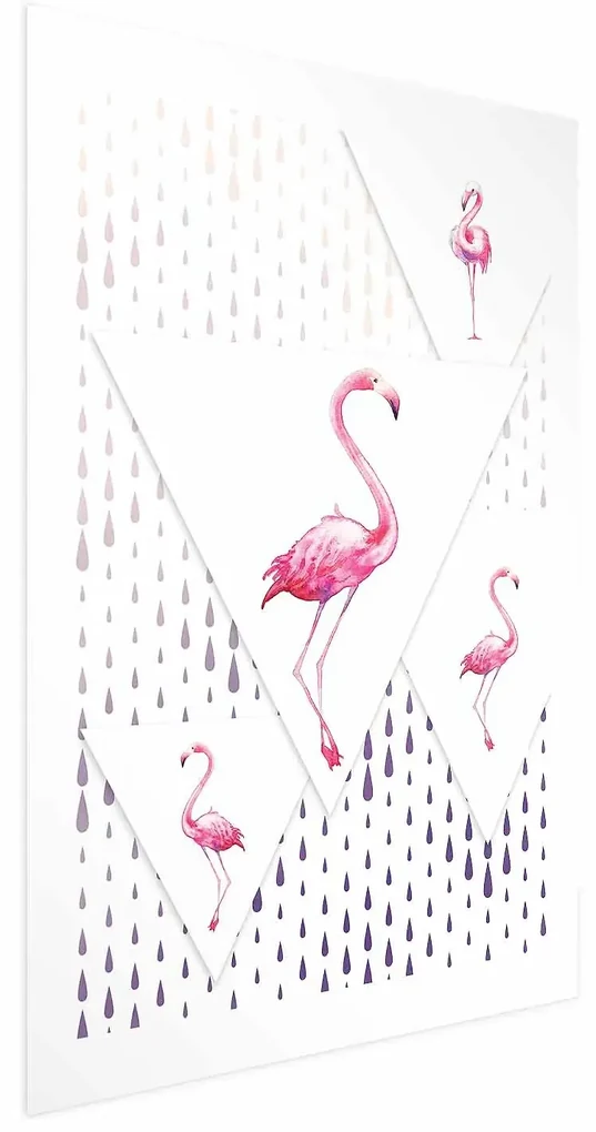 Plakat Rodzina flamingów 40x60 cm bez ramy z marginesem ARTGEIST B