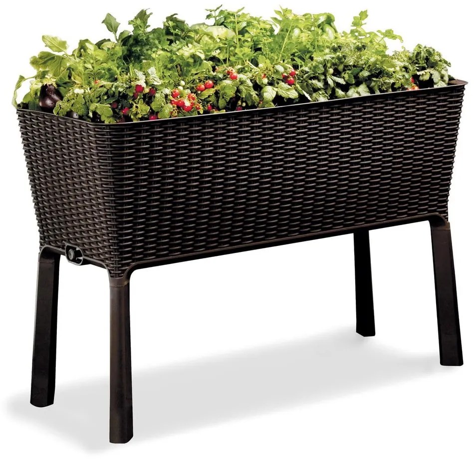 Doniczka Easy Grow – Keter