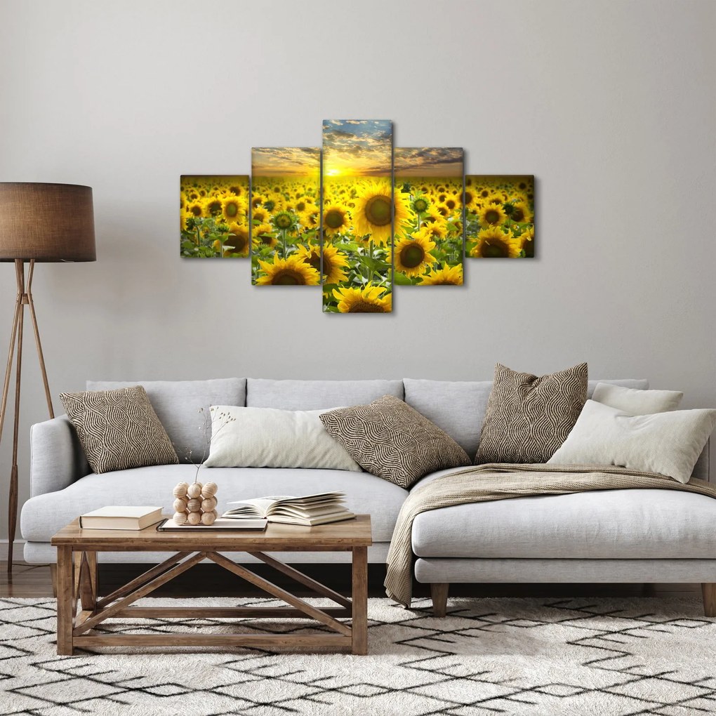 Obraz - Słoneczniki o zachodzie słońca (125x70 cm)