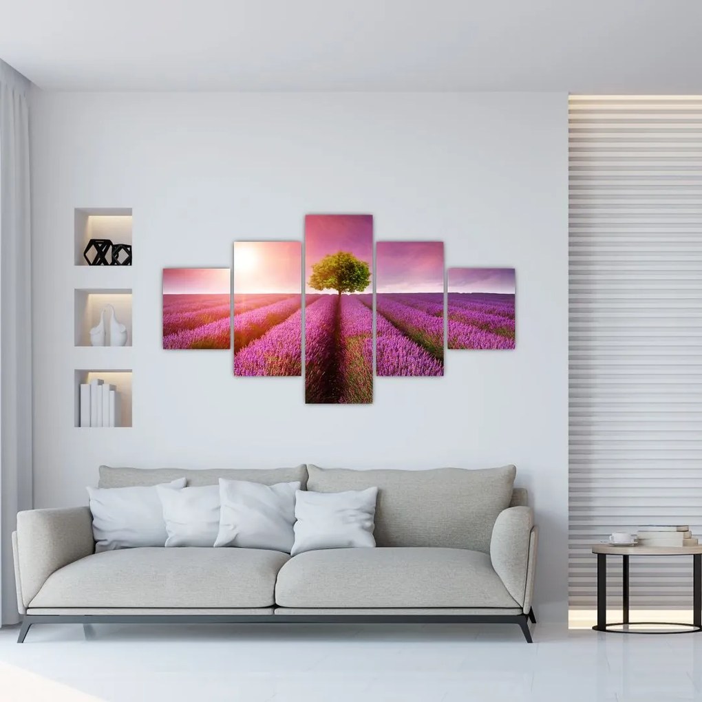 Obraz pola z lawendą (125x70 cm)