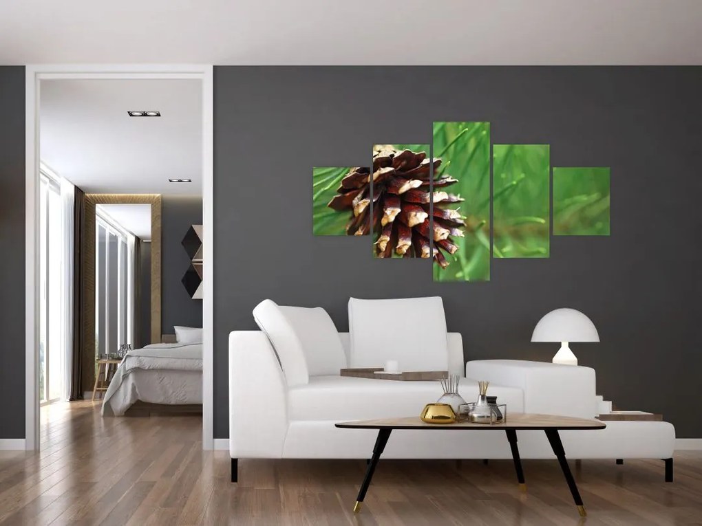 Obraz szyszki (125x70 cm)