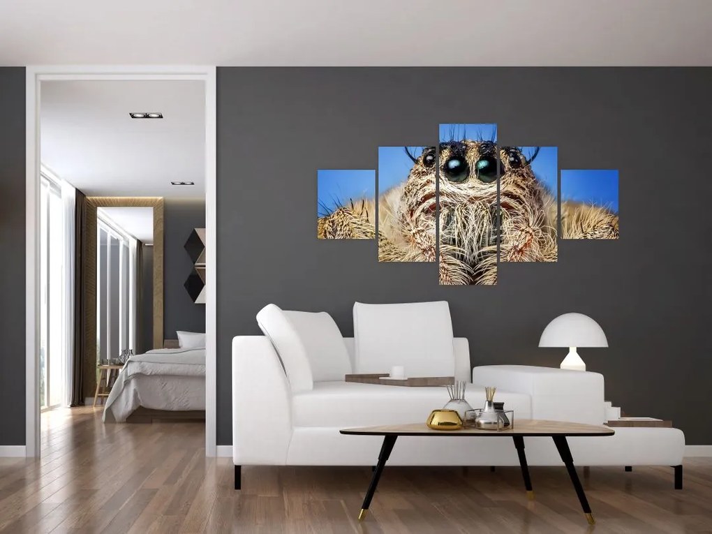Obraz szczegółu pająka (125x70 cm)