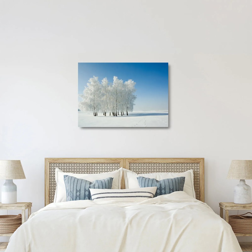 Obraz na szkle zaśnieżonego krajobrazu (70x50 cm)
