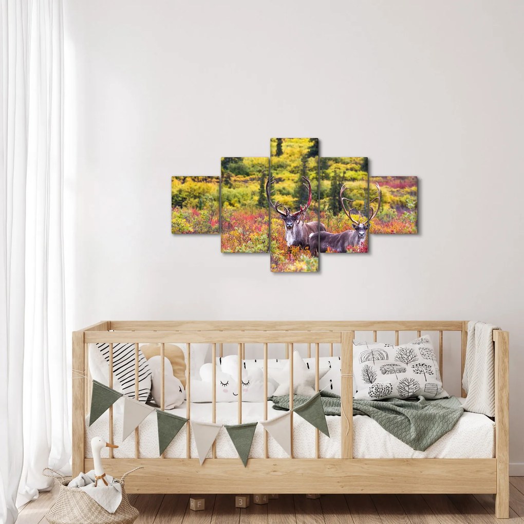 Obraz - Renifer tundrowy (125x70 cm)