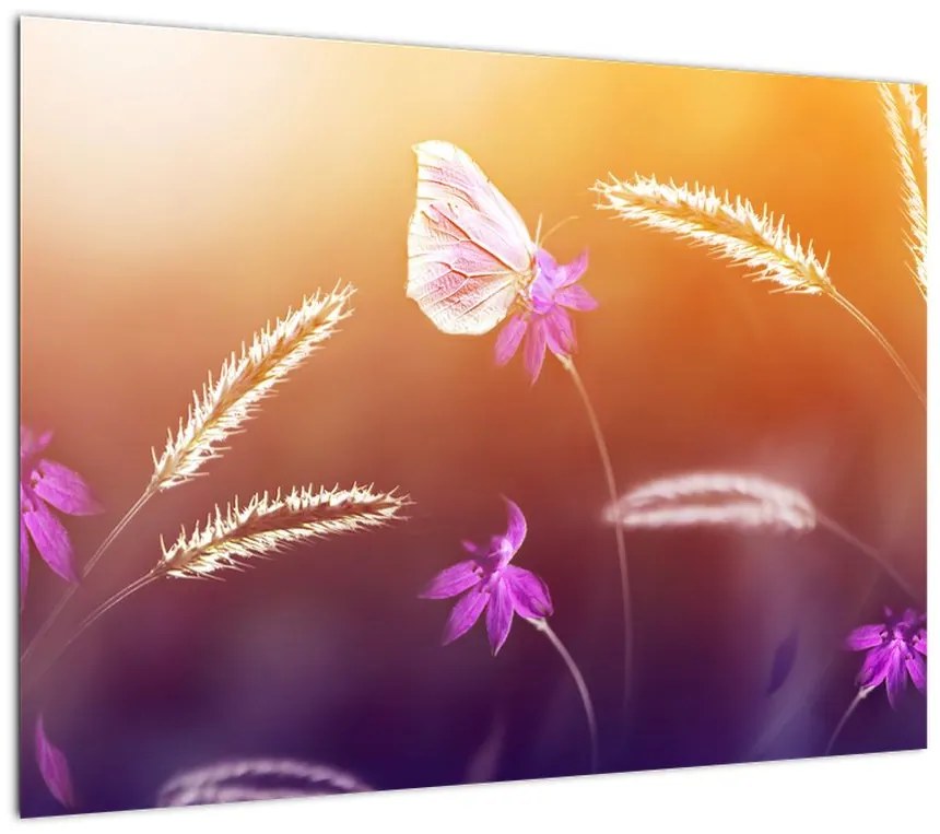 Obraz na szkle - Różowy motyl (70x50 cm)