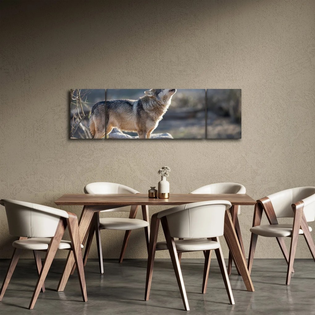 Obraz - Wyjący Wilk (170x50 cm)