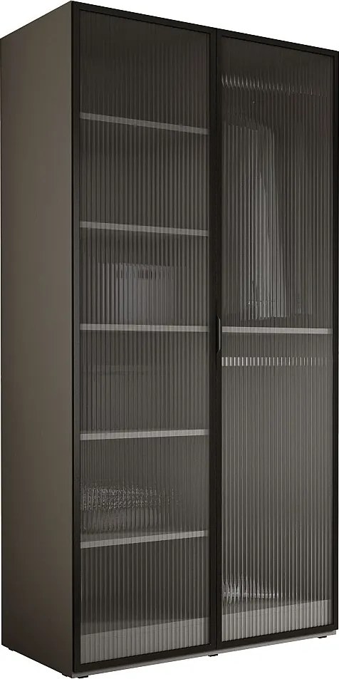Szafa: Szary platynowy / Szkło ryflowane, 100 x 200 x 51 cm