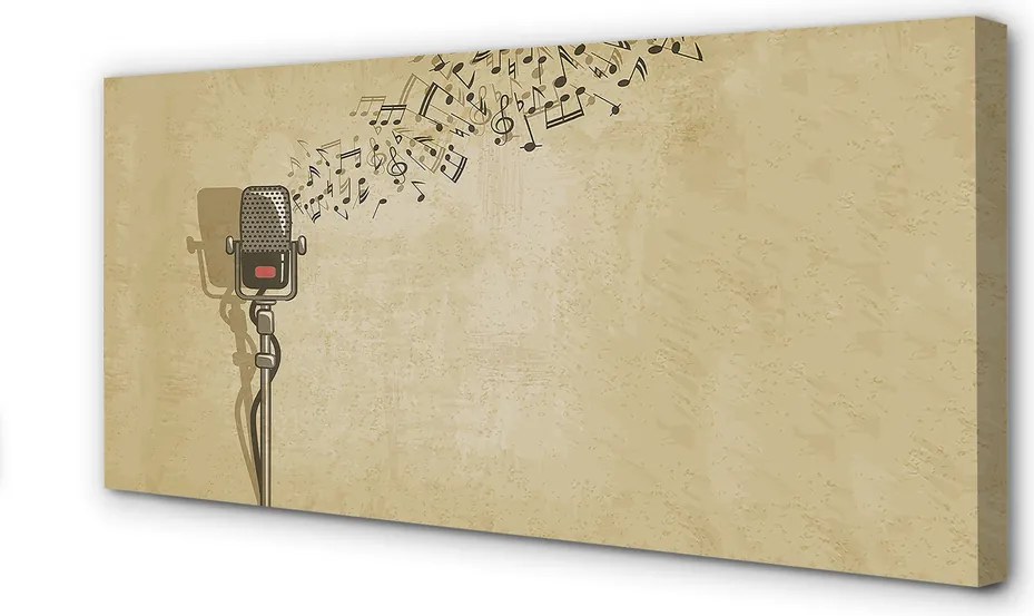 Zdjęcie na płótnie Wokalna Ekspresja Muzyczna