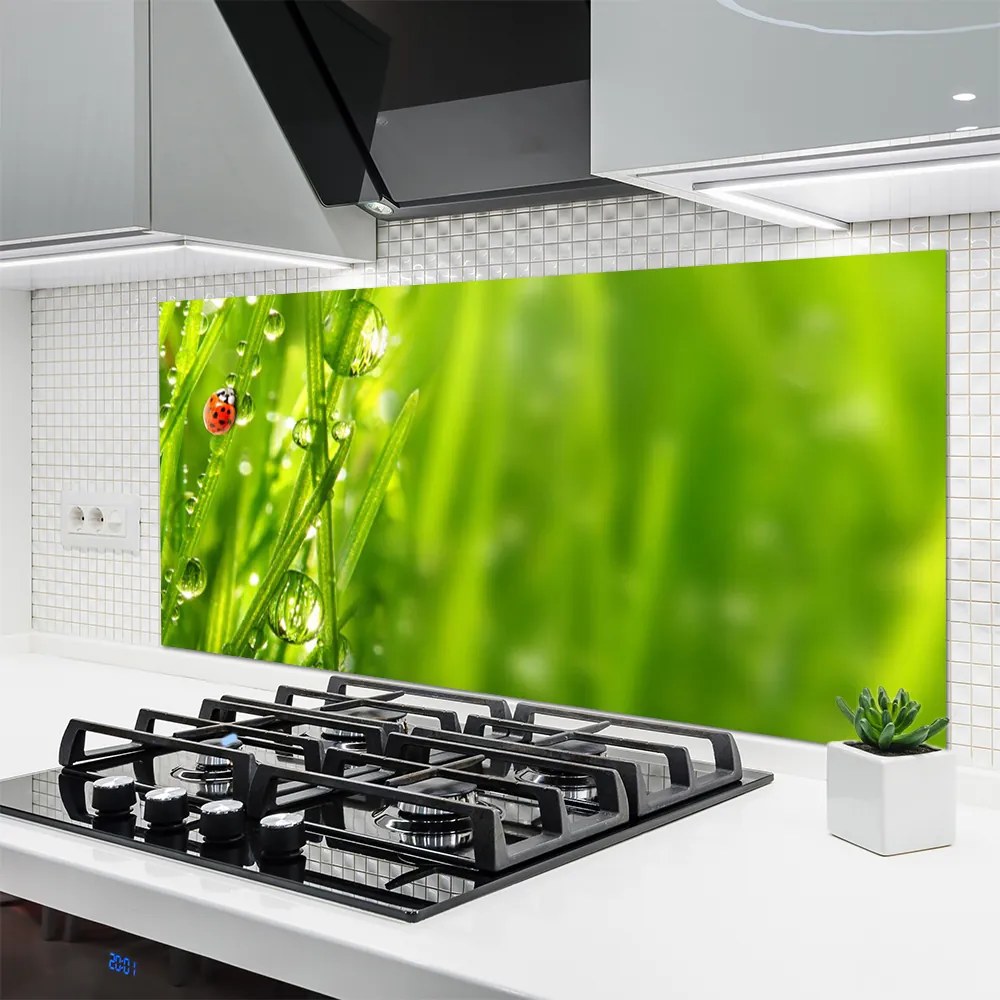 Szkło Dekoracyjne do Kuchni Biedronka na Zielonym Źdźble