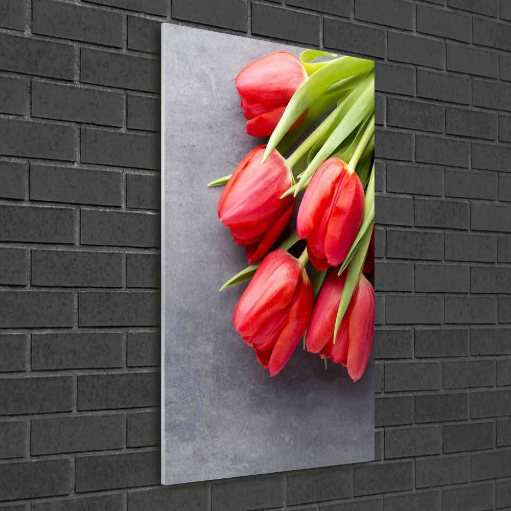 Foto obraz na szkle pionowy Czerwone tulipany