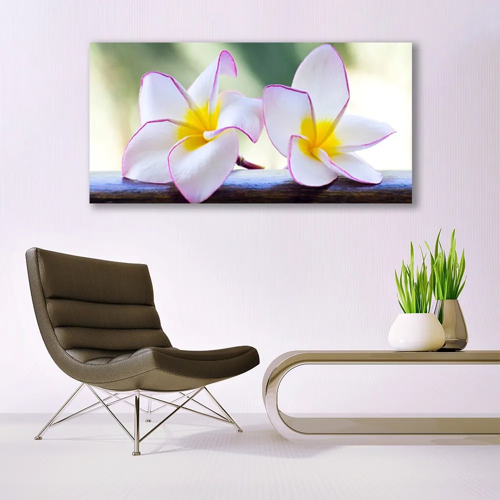 Obraz Canvas Kwiaty Płatki Plumeria