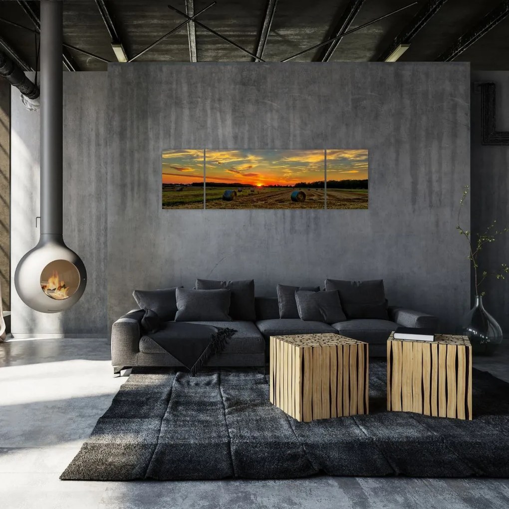 Obraz - Wiejskie bale (170x50 cm)