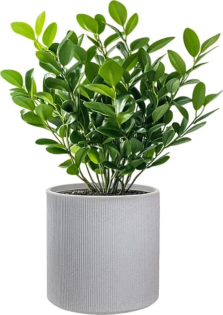 Okrągły, cylindryczny wazon z żywicy do roślin doniczkowych i ogrodowych, Modigliani Beige, 36x35 cm