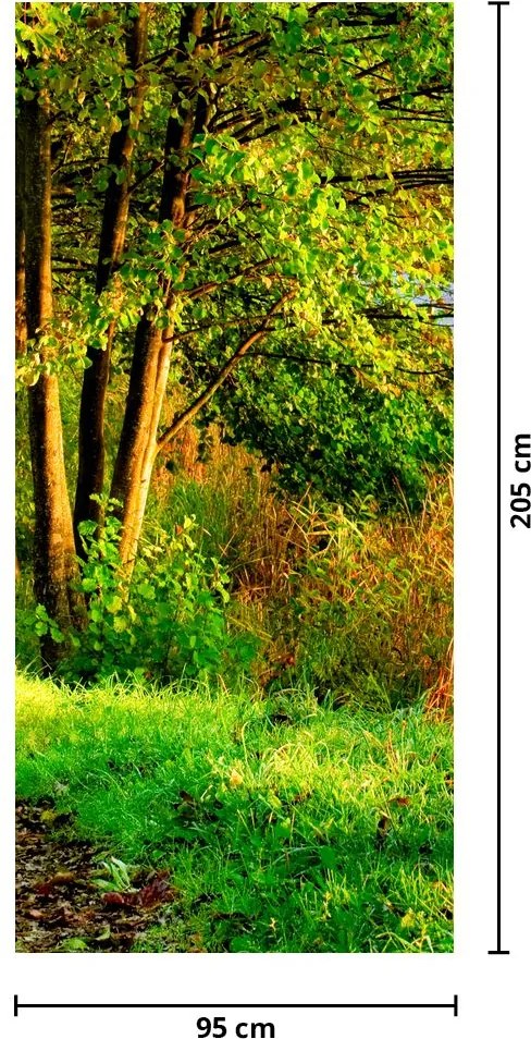 Fototapeta na drzwi - Ścieżka wzdłuż wody (95x205cm)