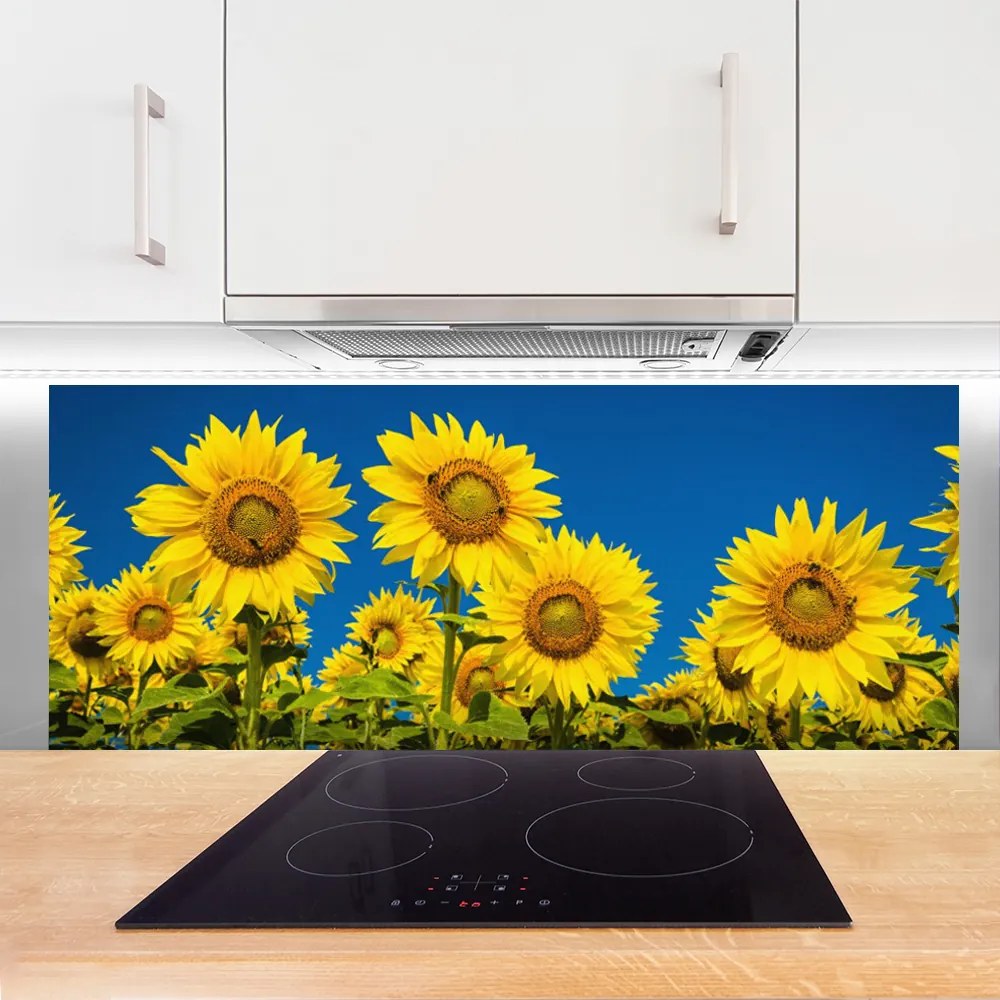 Szkło do Kuchni na Ścianę Radosne Pole Słoneczników