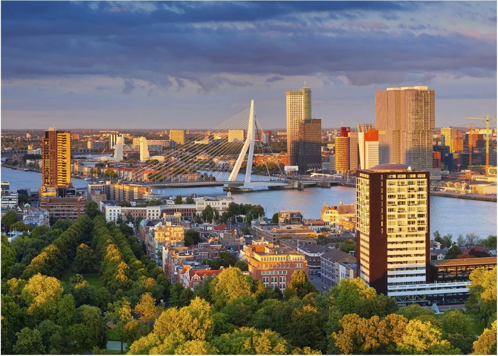Obraz na szkle - Panorama Rotterdamu, Holandia (70x50 cm)