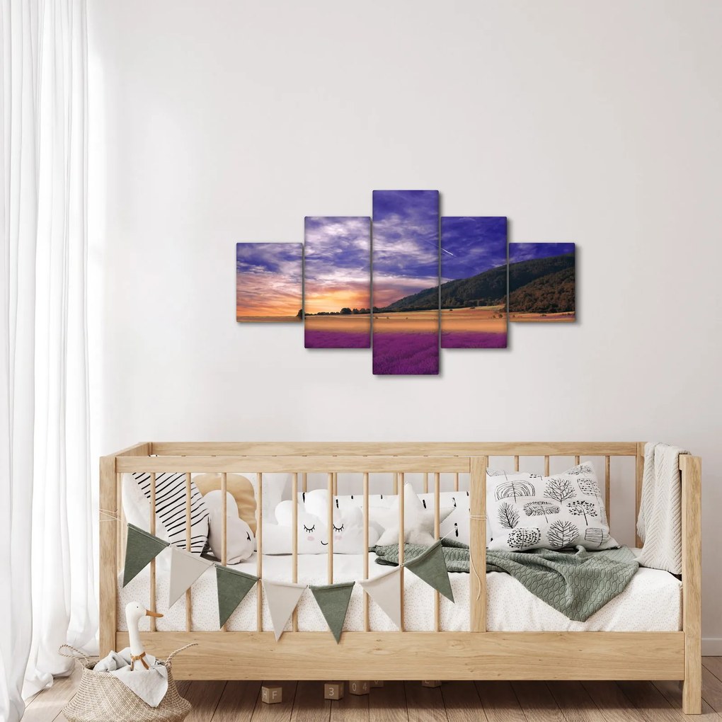 Obraz lawendowej łąki (125x70 cm)