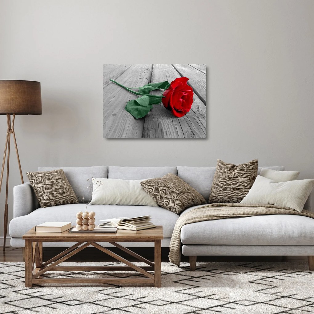 Obraz na szkle - Czerwona róża z zieloną łodygą (70x50 cm)
