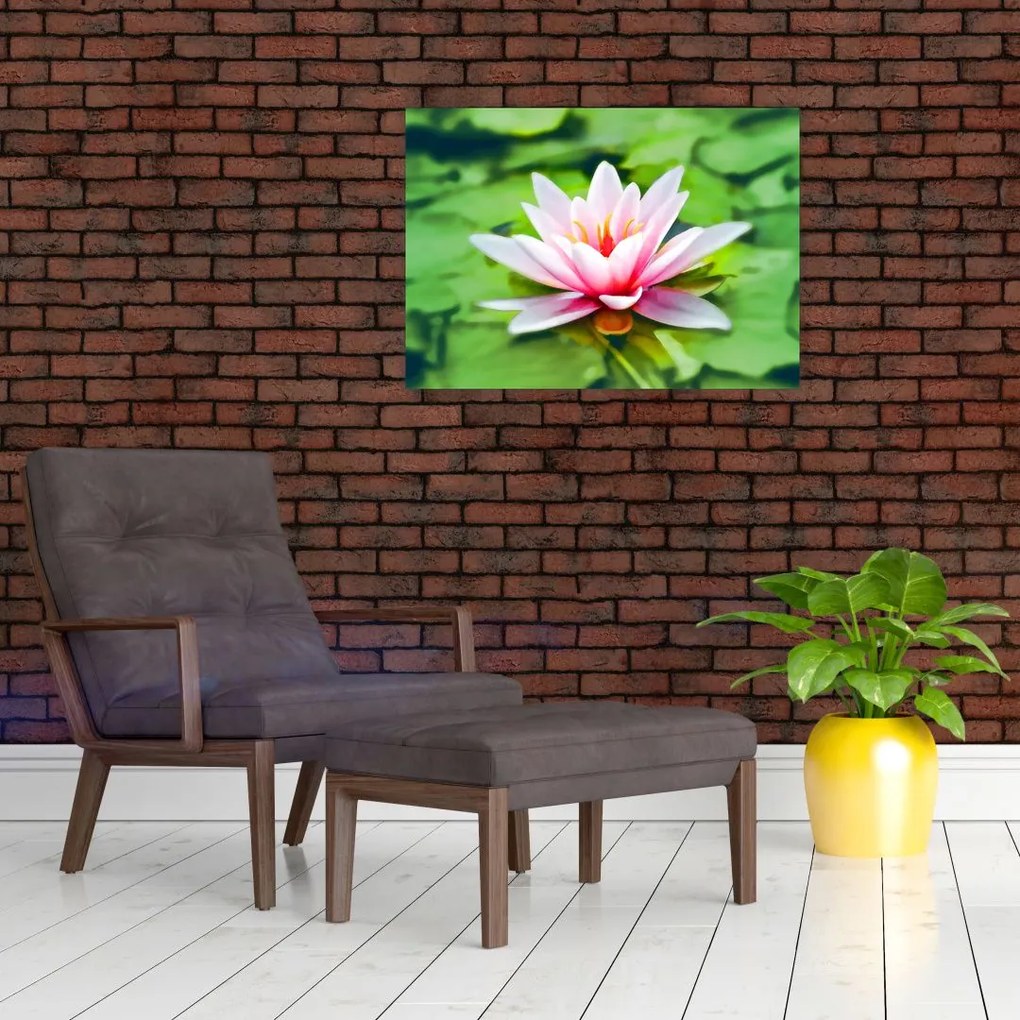 Obraz lilii wodnej na powierzchni (70x50 cm)