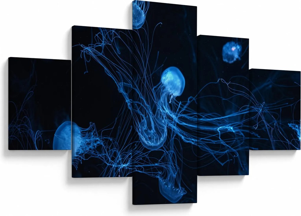 Obraz - Meduza (125x70 cm)