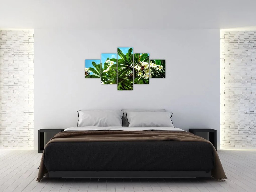 Obraz - Plumeria (125x70 cm)