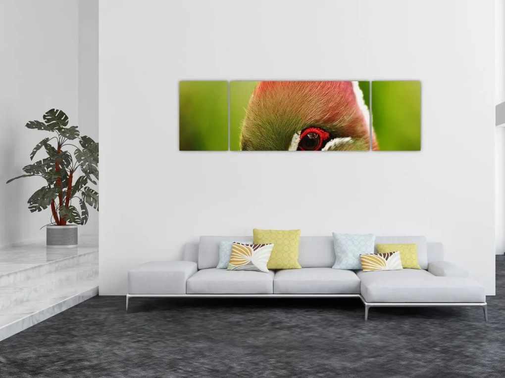 Obraz kolorowego ptaka (170x50 cm)