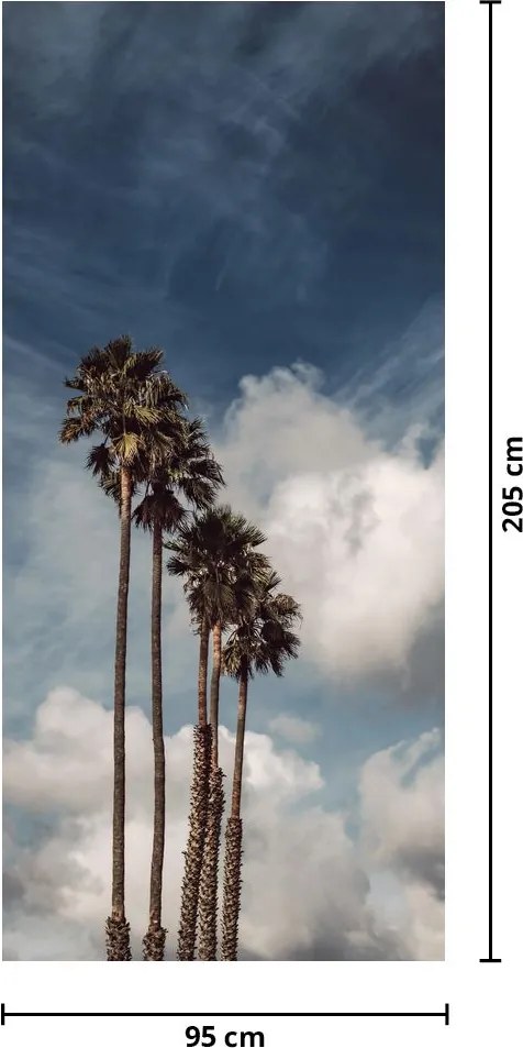 Fototapeta na drzwi - Palm dramat (95x205cm)