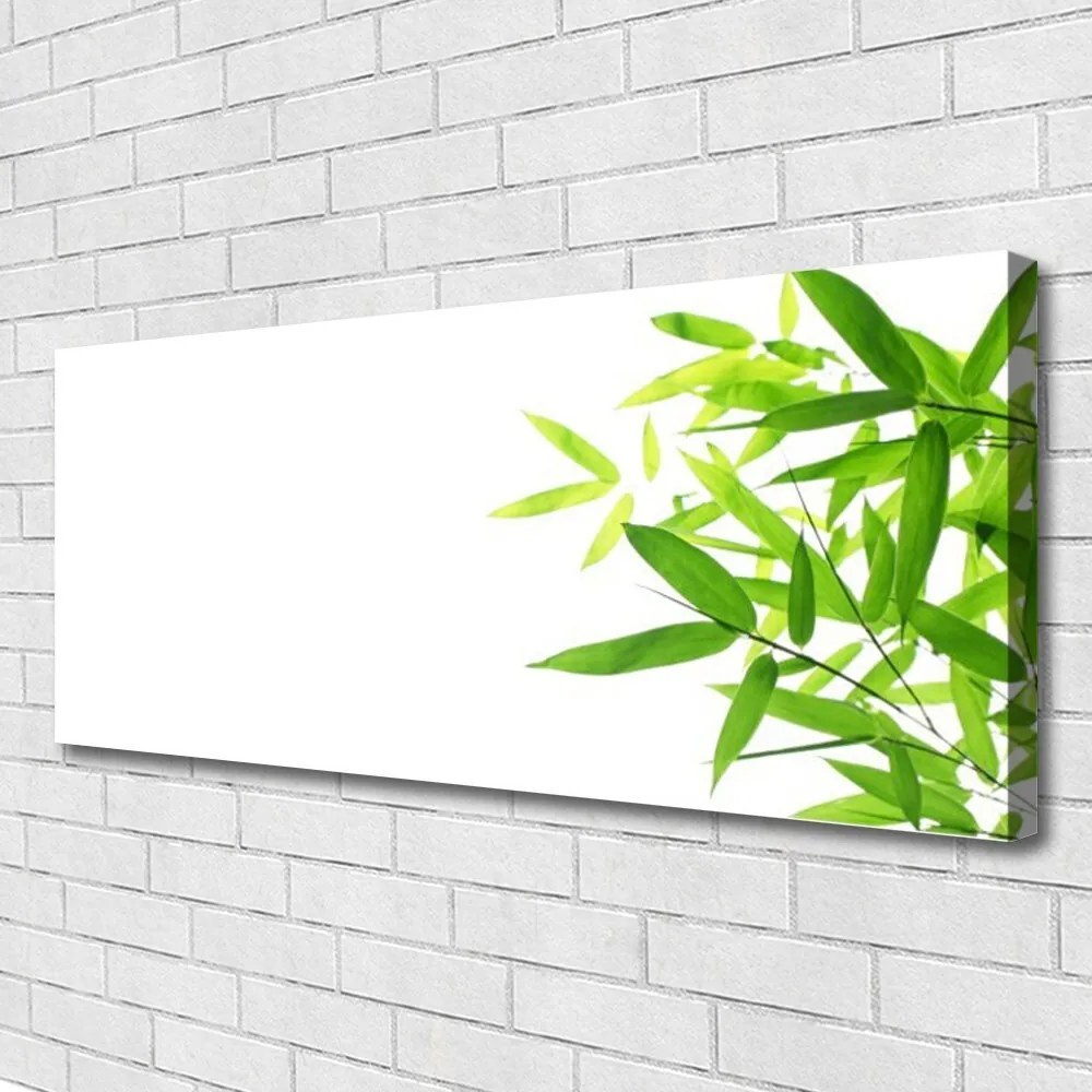 Obraz canvas na ścianę Tekstura Zielonego Liścia