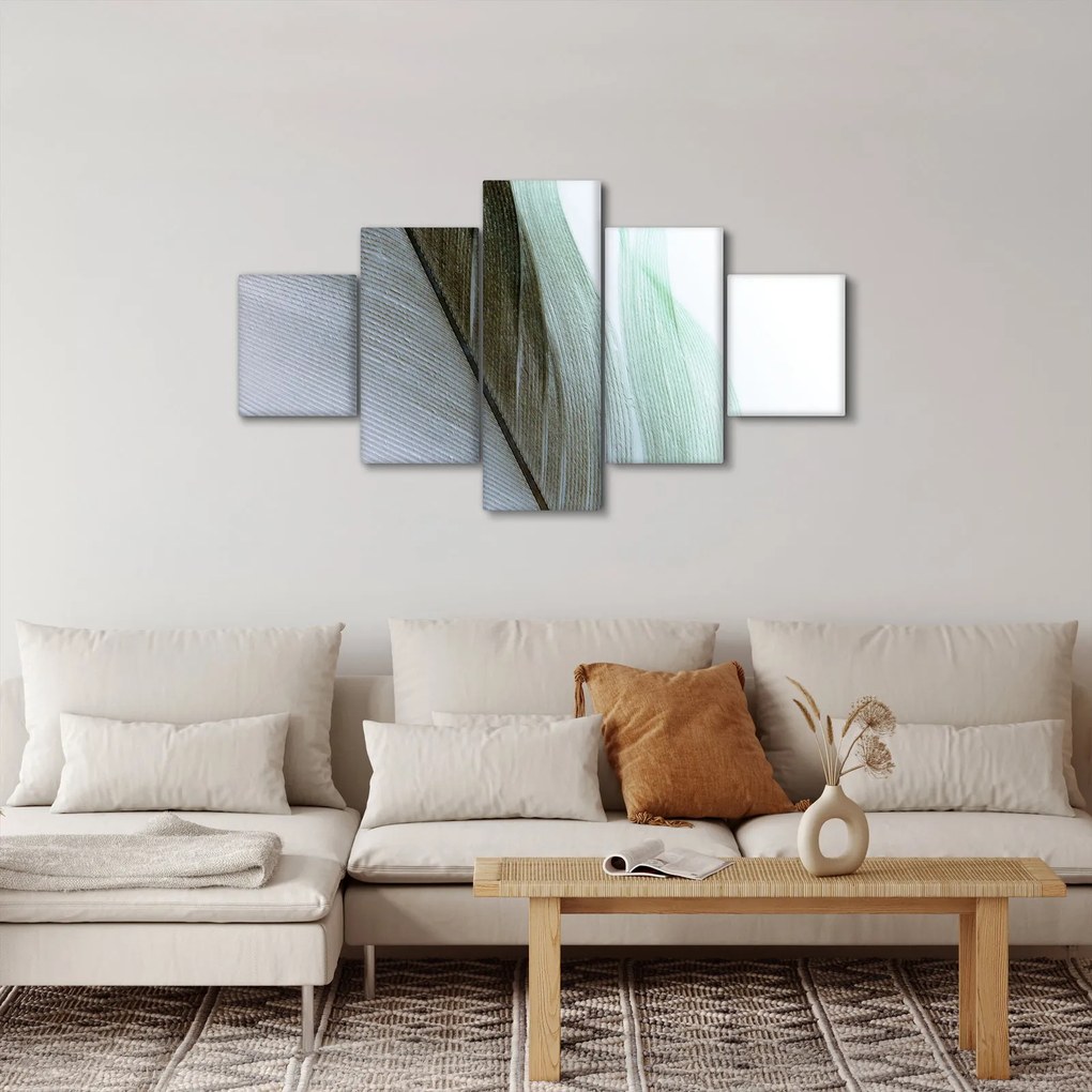 Obraz - Pióra, makro (125x70 cm)