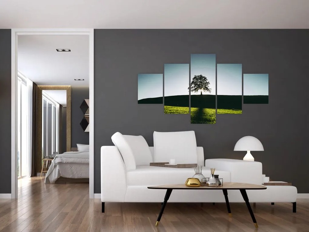 Obraz natury - drzewo (125x70 cm)