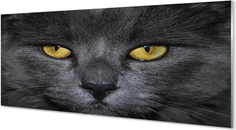 Szkło do Kuchni na Ścianę Tajemniczy Czarny Kot
