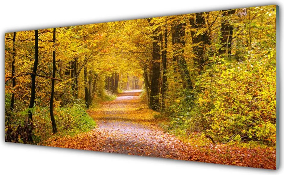 Panel Szklany Spacer Przez Słoneczny Las