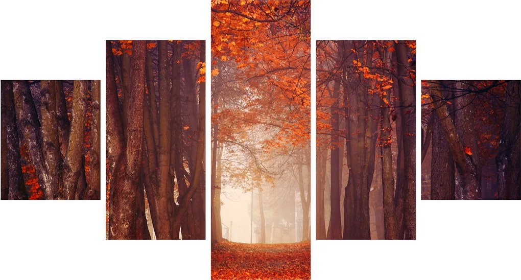 Obraz - Jesienny las (125x70 cm)