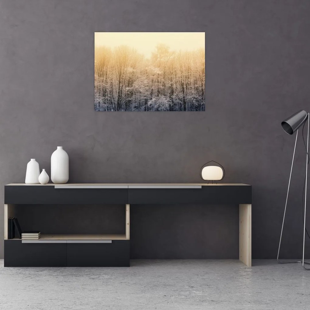 Obraz na szkle mroźnego lasu (70x50 cm)