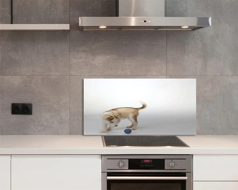 Panel szklany do Kuchni Radosna Zabawa Psa