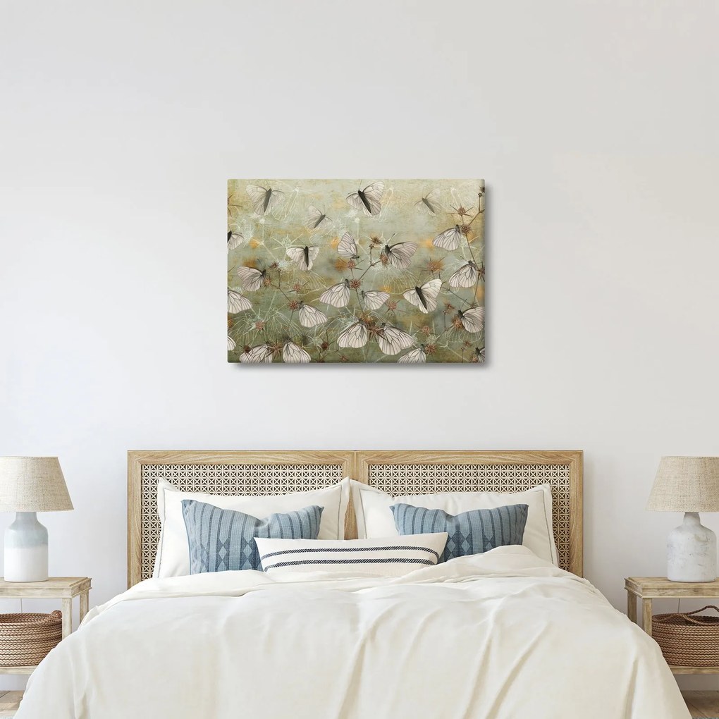 Obraz - Vintage motyle (70x50 cm)