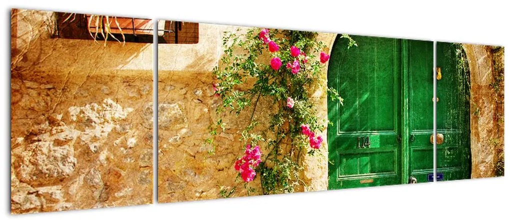 Obraz starych drzwi (170x50 cm)
