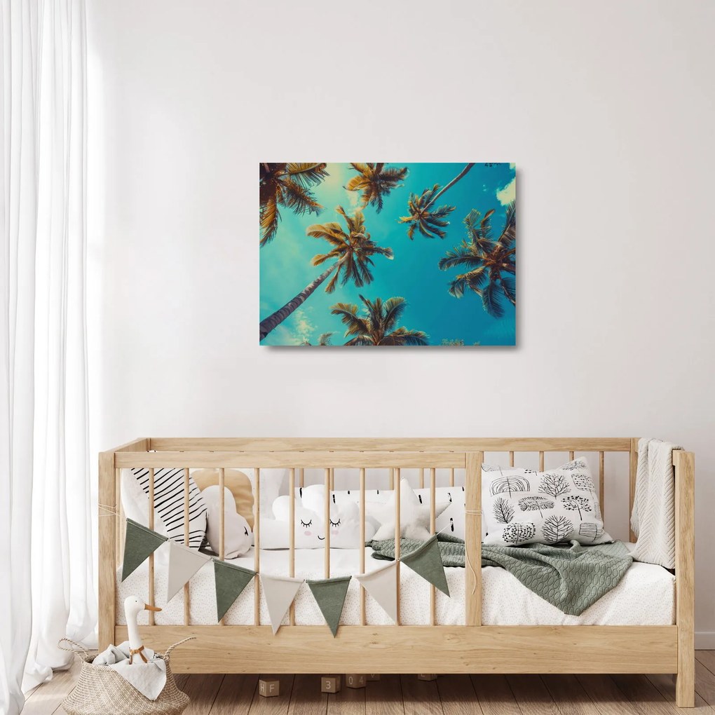 Obraz na szkle - Wysokie palmy (70x50 cm)