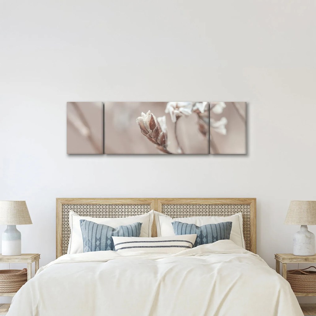 Obraz - Szczegół gałęzi (170x50 cm)