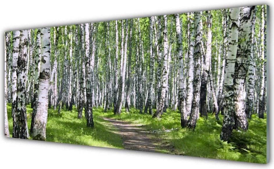 Panel Kuchenny Ścieżka Przez Słoneczny Las