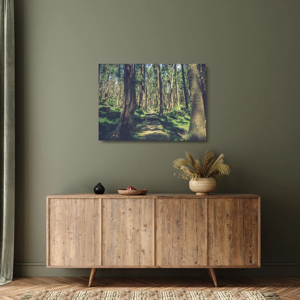 Obraz na szkle ścieżki pomiędzy drzewami (70x50 cm)
