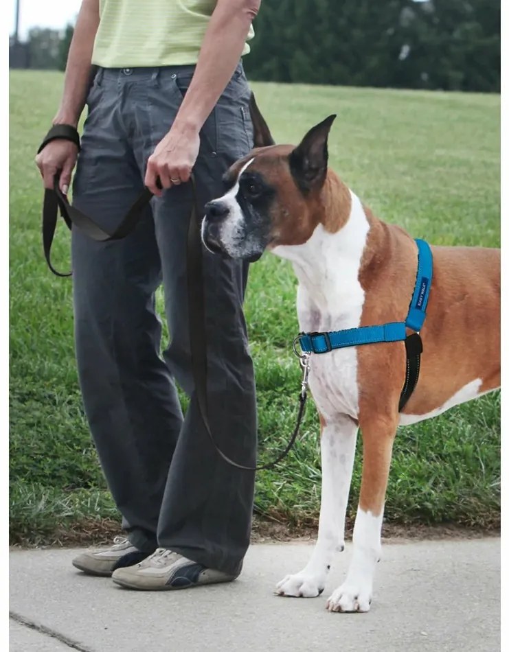 PetSafe Szelki EasyWalk Deluxe niebieskie rozmiarS