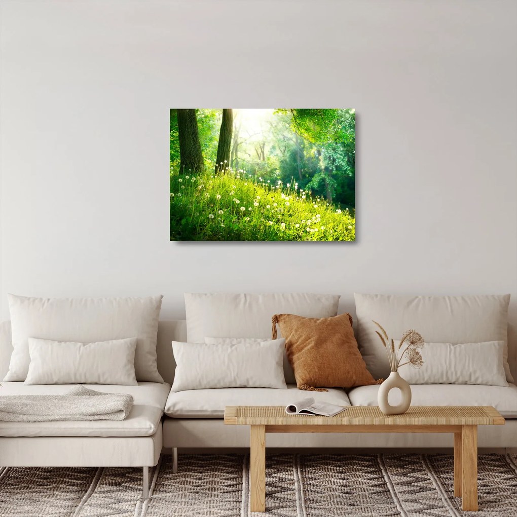 Obraz na szkle - Magiczna łąka pełna mniszków lekarskich (70x50 cm)