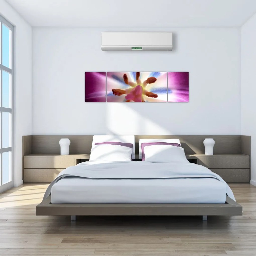 Obraz - Kwiat tulipana w szczegółach (170x50 cm)